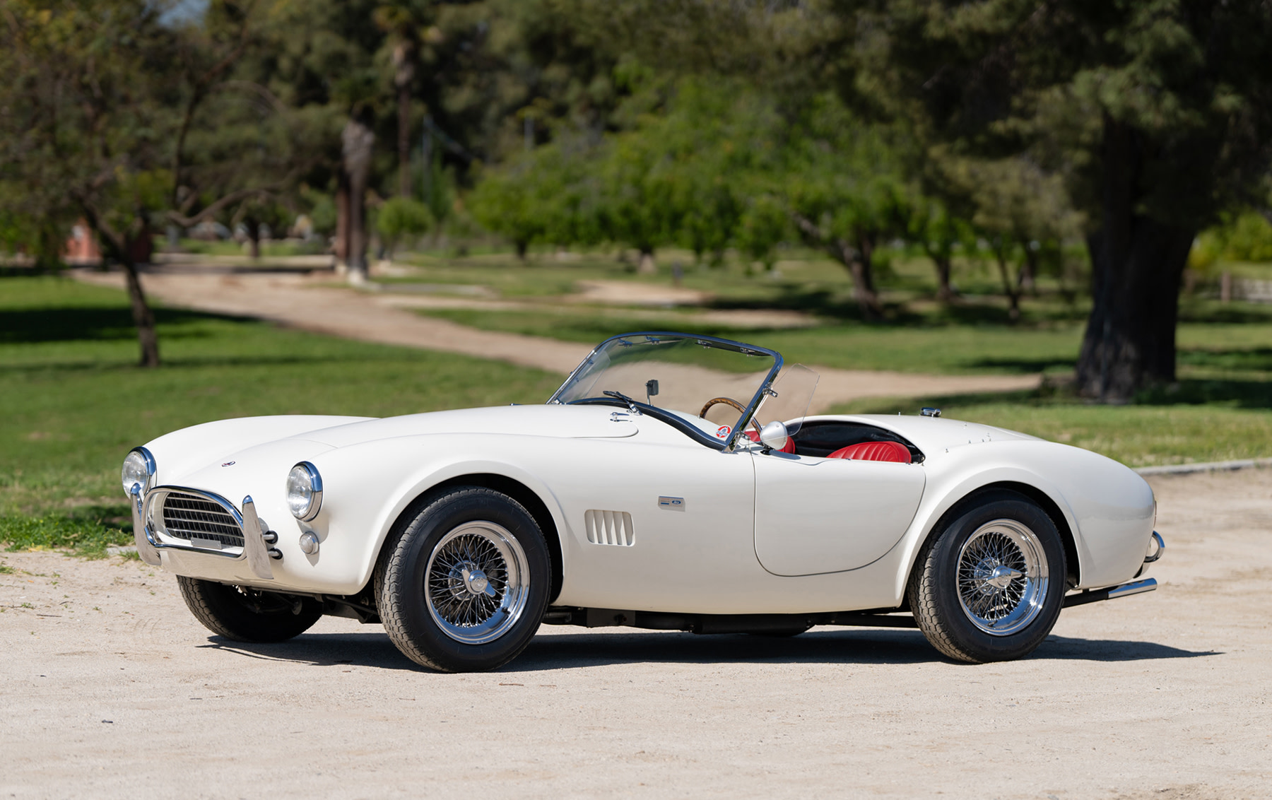 期間限定のお買い得商品 Shelby 1964 289 Company & Gooding | Cobra クリアファイル